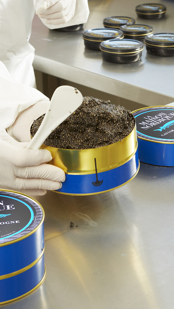 caviar